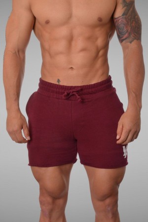 Young LA 102 Bodybuilding French Terry Shorts Bordeaux | 0476-ALFST