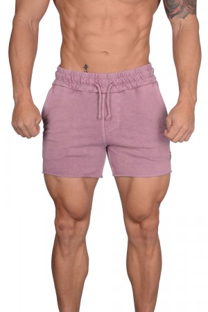 Young LA 102 Bodybuilding French Terry Shorts Lila | 3468-BVPRW
