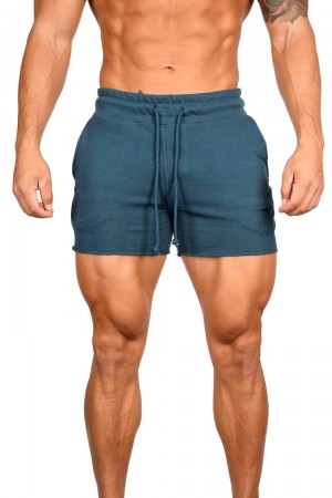 Young LA 102 Bodybuilding French Terry Shorts Teal | 7456-KBXIF