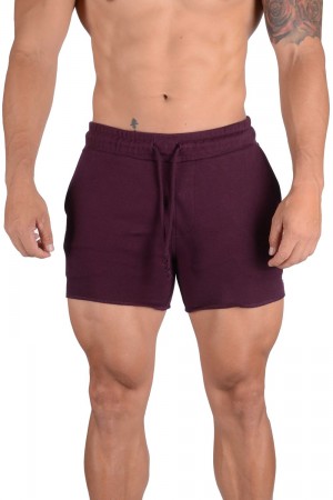 Young LA 102 Bodybuilding French Terry Shorts Lila | 9815-KUOGV