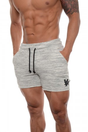 Young LA 102 Bodybuilding French Terry Shorts Hellgrau | 6419-HTDZV