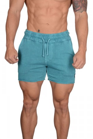 Young LA 102 Bodybuilding French Terry Shorts Aqua | 5384-LWKTB