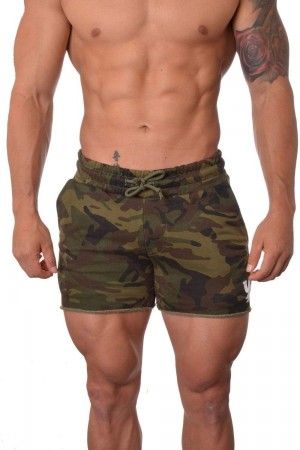 Young LA 102 Bodybuilding French Terry Shorts Camouflage | 0894-SWTHD