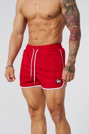 Young LA 1037 - Mesh Bodybuilding Shorts Rot | 4052-WHLNA