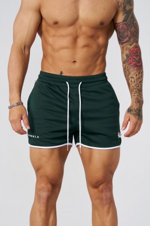 Young LA 1037 - Mesh Bodybuilding Shorts Grün | 5602-XMYRF