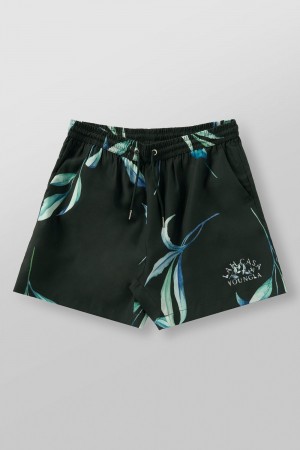 Young LA 1038 - Lah Casa Shorts Grün | 5861-VZPXC