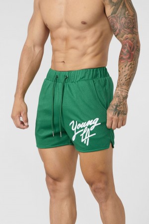 Young LA 104 Legacy Shorts Grün | 7261-BQCUL