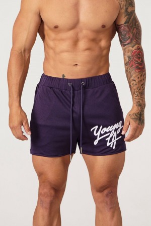Young LA 104 Legacy Shorts Lila | 3267-HDUMP