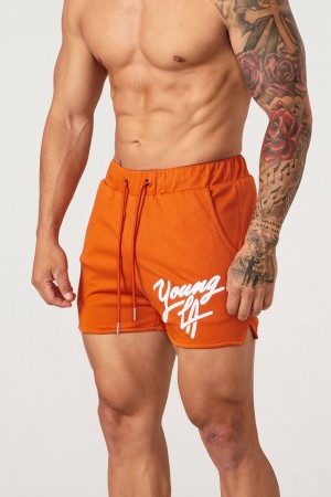 Young LA 104 Legacy Shorts Orange | 9538-EBSTL