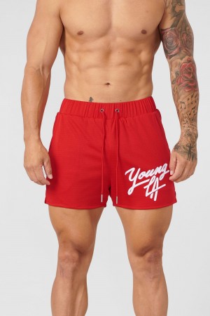 Young LA 104 Legacy Shorts Rot | 7863-MFOXY