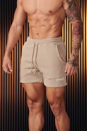 Young LA 107 - Chrome Shorts Beige | 3605-BGSHV