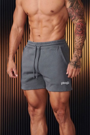 Young LA 107 - Chrome Shorts Grau | 9210-XRMEL