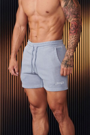 Young LA 107 - Chrome Shorts Hellgrau | 1645-VJQCB
