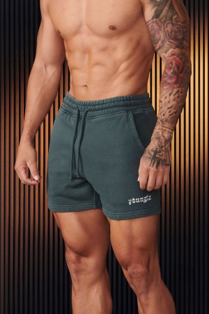 Young LA 107 - Chrome Shorts Teal | 3942-ISXPE