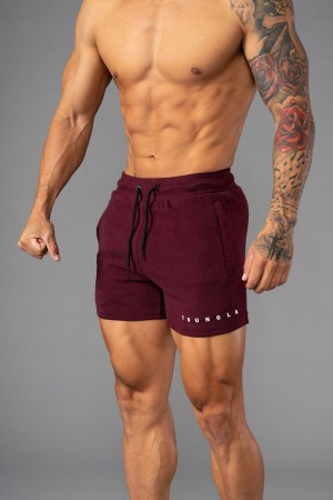 Young LA 113 The Perfect Short Shorts Bordeaux | 0397-ZWSQH