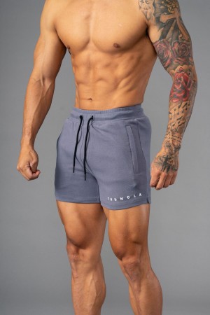 Young LA 113 The Perfect Short Shorts Grau | 5412-OGTWY