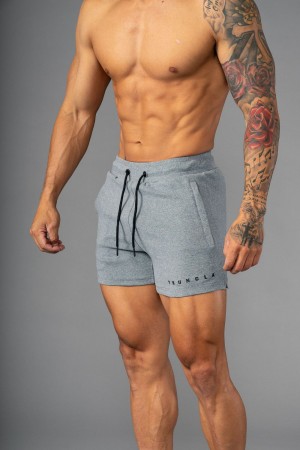 Young LA 113 The Perfect Short Shorts Hellgrau | 8203-TRQJF