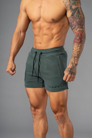 Young LA 113 The Perfect Short Shorts Olivgrün | 2609-OUNWZ