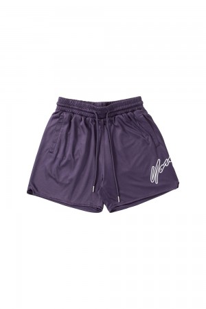 Young LA 117 Sig Shorts Lila | 5872-XDOGS