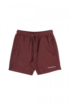 Young LA 118 The Perfect Shorts Bordeaux | 6409-MFYGI