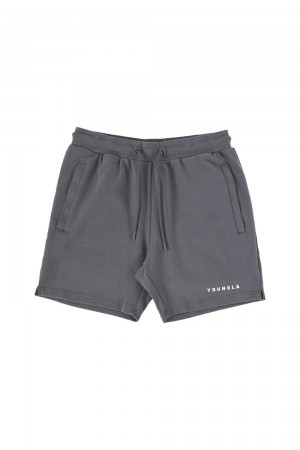 Young LA 118 The Perfect Shorts Grau | 6729-RKPUM