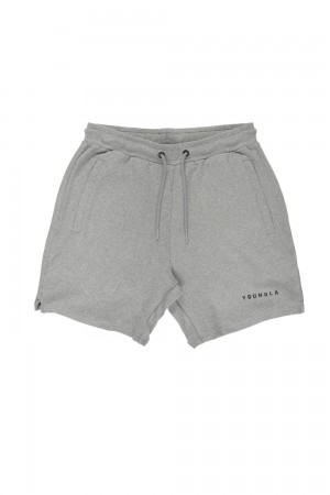 Young LA 118 The Perfect Shorts Hellgrau | 4970-OENCB