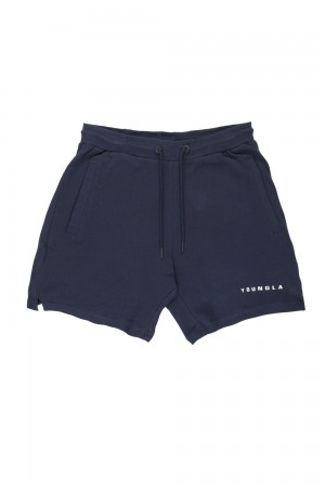 Young LA 118 The Perfect Shorts Navy | 6815-VCJDX