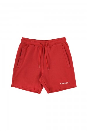 Young LA 118 The Perfect Shorts Rot | 0475-BHMUK