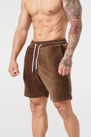 Young LA 119 Cord Collection - Shorts Braun | 0135-VDGBZ