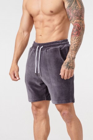 Young LA 119 Cord Collection - Shorts Grau | 9480-CWPGE