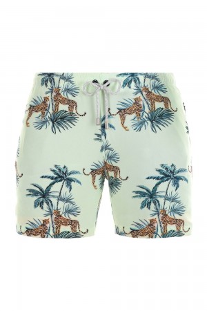 Young LA 128 Abstract Swim Shorts '22 Aqua | 1367-ZLMYD