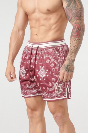 Young LA 132 Infamous Bandana Shorts Bordeaux | 9412-HJDAF