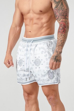 Young LA 132 Infamous Bandana Shorts Grau | 6857-ECPNO