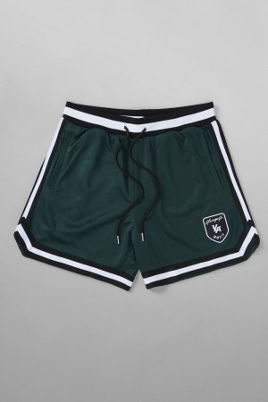 Young LA 133 Home Plate Shorts Dunkelgrün | 2817-XTJHM
