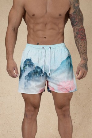 Young LA 135 House Party Shorts Mehrfarbig | 0578-PHUAX