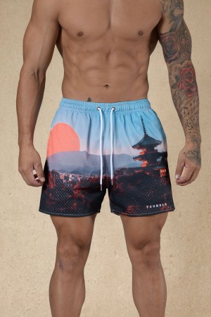 Young LA 135 House Party Shorts Mehrfarbig | 9150-RXGAF