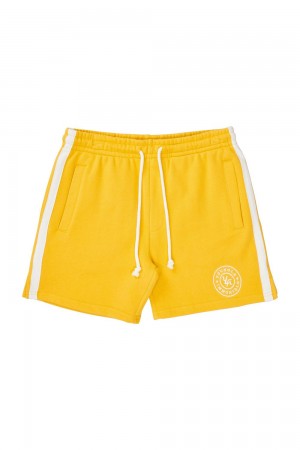 Young LA 137 - Golden Era Bodybuilding Shorts Gelb | 6984-NUHQO
