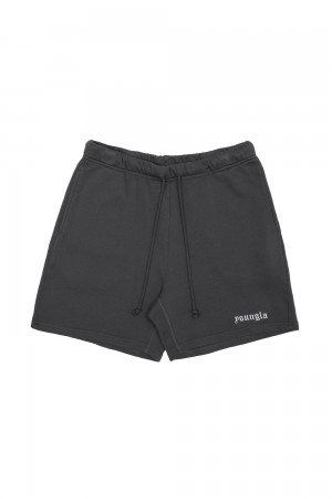 Young LA 139 Earthy Collection - Shorts Grau | 2451-AGRZY