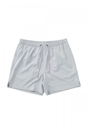 Young LA 140 Frooty Swim Shorts Grau | 0297-VCHLF
