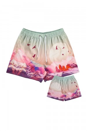 Young LA 141 The Block Party Shorts Mehrfarbig | 2541-RIMXZ