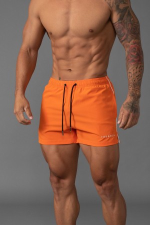 Young LA 143 Short Short Swim Shorts Orange | 2304-OZIAX