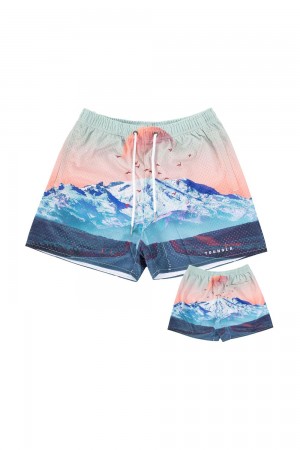 Young LA 150 After Party Shorts Mehrfarbig | 6928-NFSOT