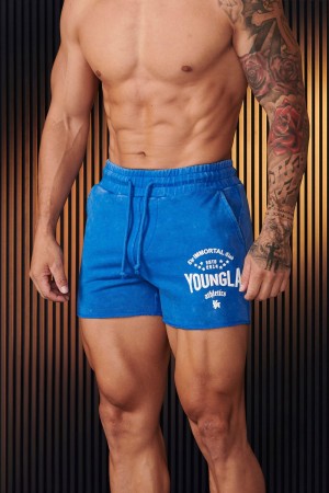 Young LA 152 - Immortal Shorts Blau | 8529-LRVBQ