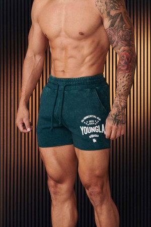 Young LA 152 - Immortal Shorts Grün | 2316-IDOJZ