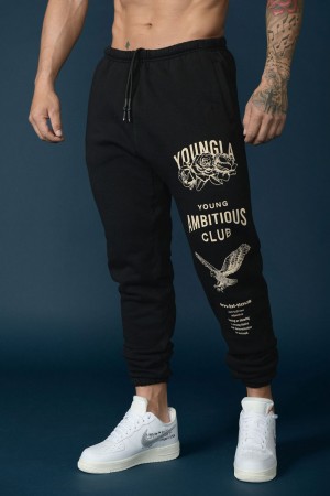 Young LA 233 The Immortal Joggers Schwarz | 7295-DVUQZ