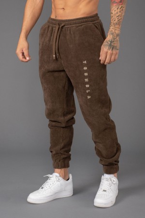 Young LA 244 Aspen Joggers Braun | 7061-EKIXF