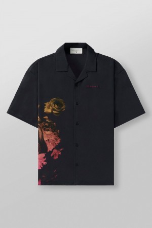 Young LA 4006 - Miami Sunset Shirts Schwarz | 0648-TLGWN