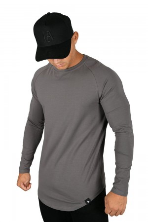 Young LA 410 Perfect Raglan Long Sleeve Shirts Grau | 4572-IWCYS