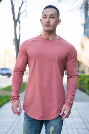 Young LA 410 Perfect Raglan Long Sleeve Shirts Rosa | 6810-GJXFO