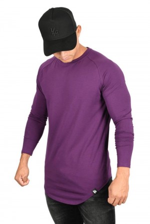 Young LA 410 Perfect Raglan Long Sleeve Shirts Lila | 9516-ASQHG